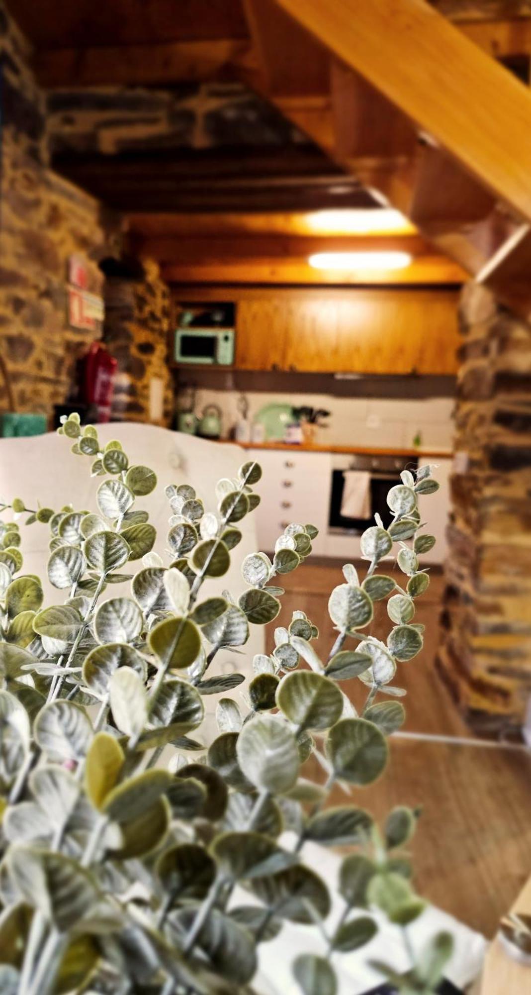 Pampihouse, Luxury Rustic House Near River パンピリョーザ・ダ・セーラ エクステリア 写真